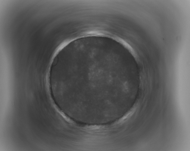 X0000111501373200908041154