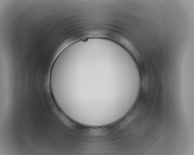 X0000111501378200908041153