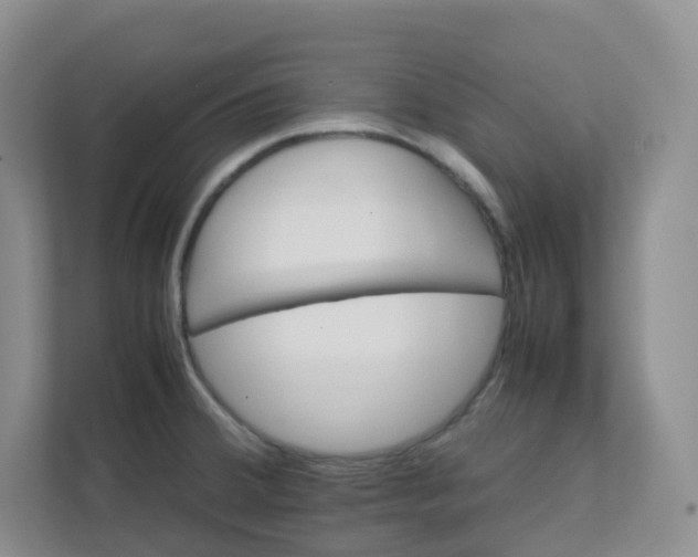 X0000111501380200908041153