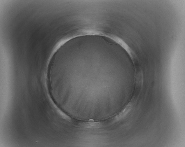 X0000111501381200908041153