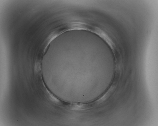 X0000111501385200908041153