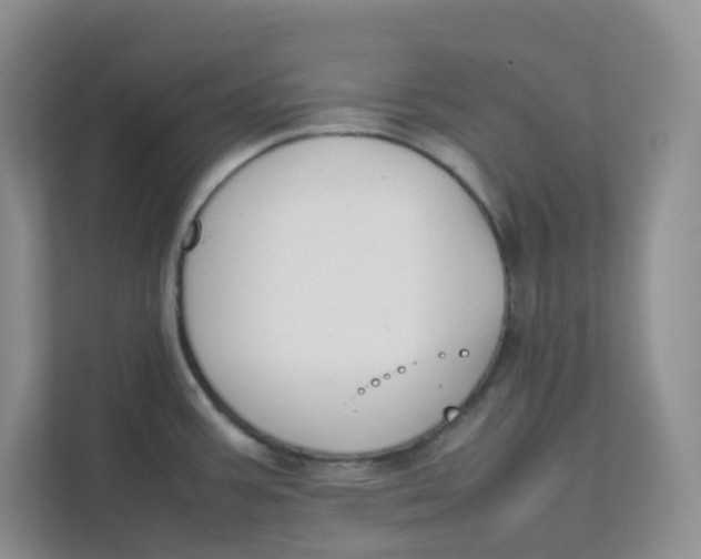 X0000111501387200908041153