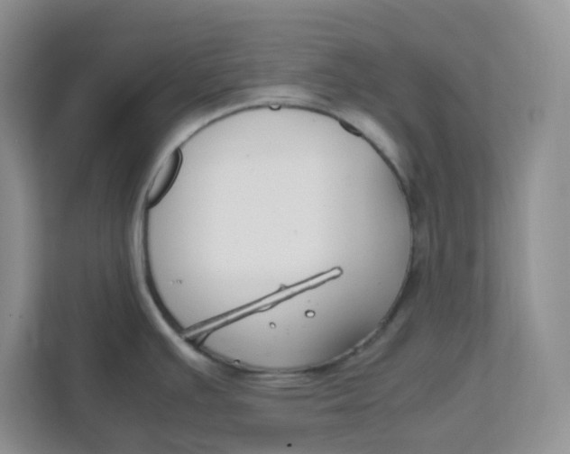 X0000111501391200908041153