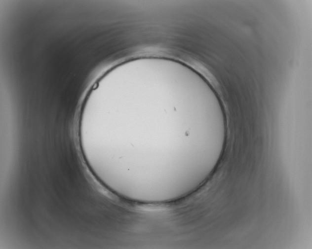 X0000111501392200908041153