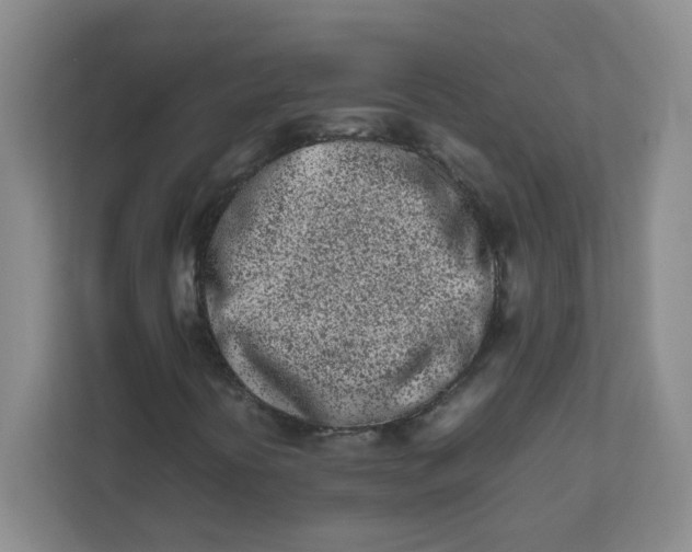 X0000111501394200908041153