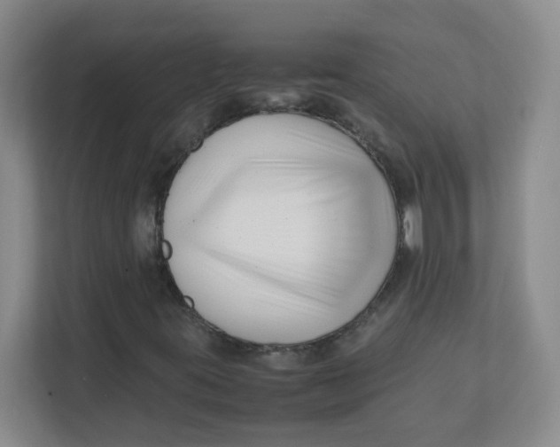 X0000111501395200908041153