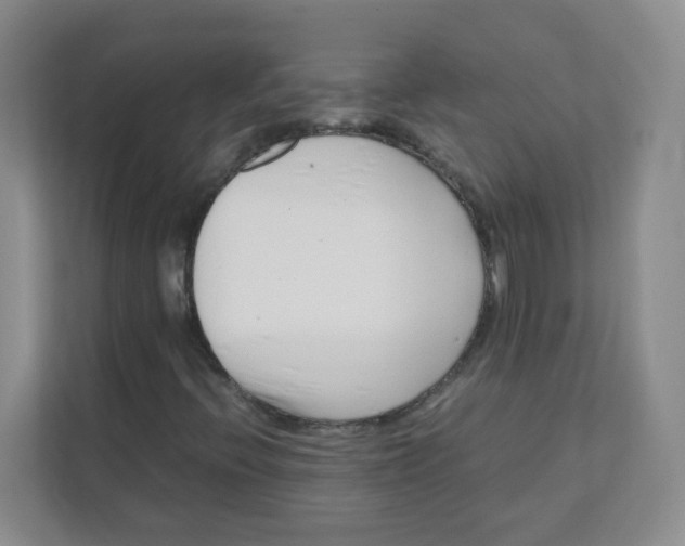 X0000111501396200908041153