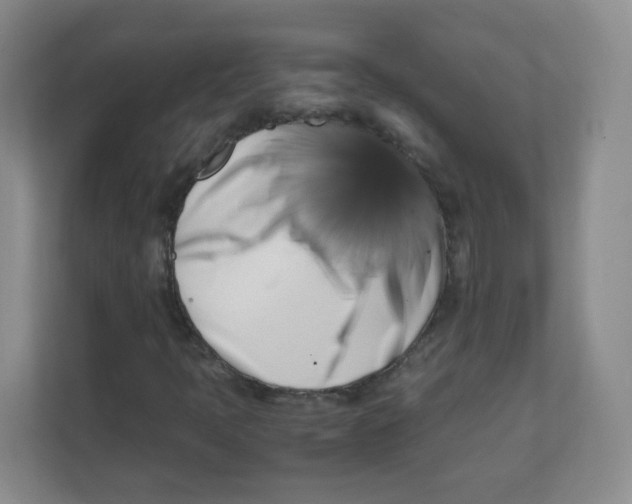 X0000111501397200908041153