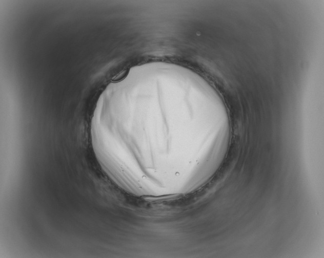 X0000111501398200908041153