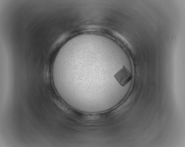 X0000111501403200908041153