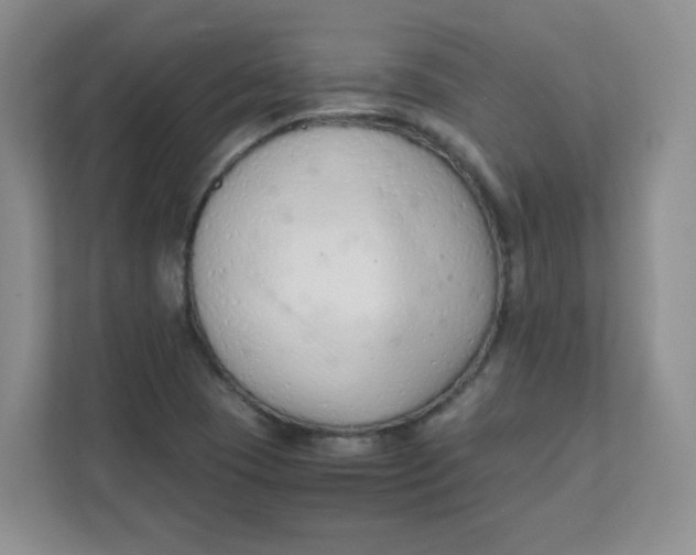 X0000111501409200908041153