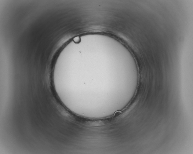 X0000111501410200908041153