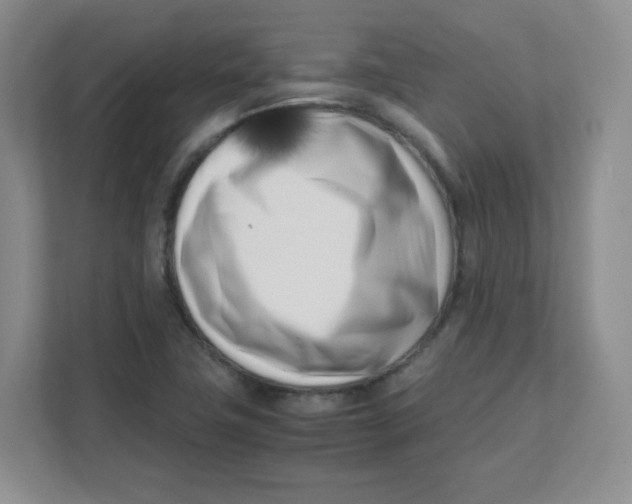 X0000111501411200908041153