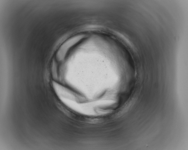 X0000111501413200908041153