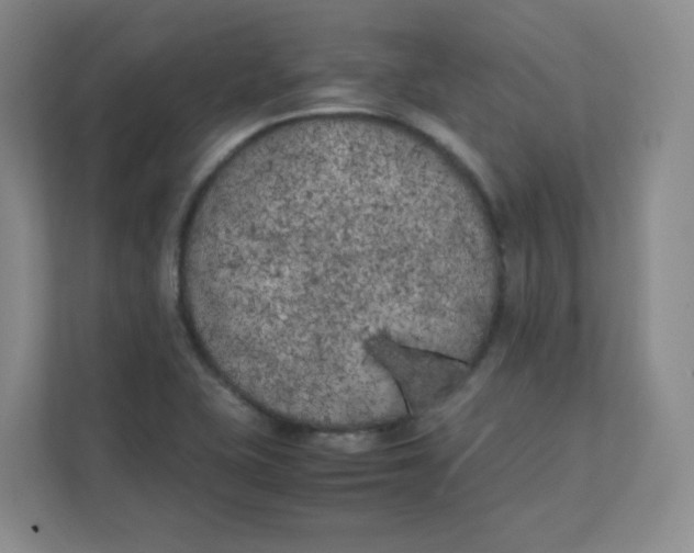 X0000111501415200908041153