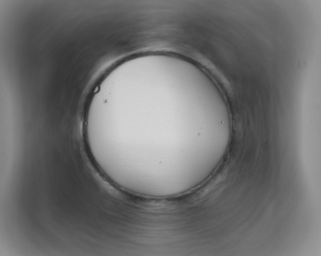 X0000111501416200908041153