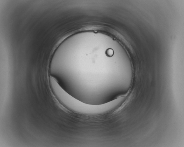 X0000111501417200908041153