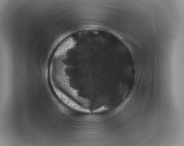 X0000111501418200908041153