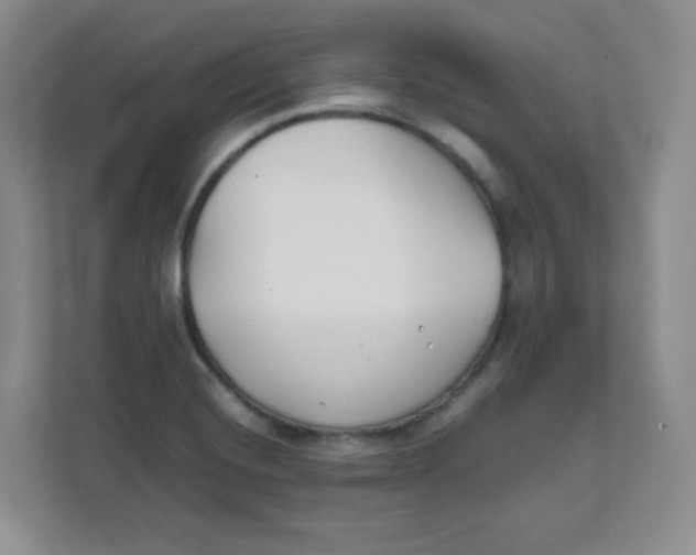 X0000111501420200908041153