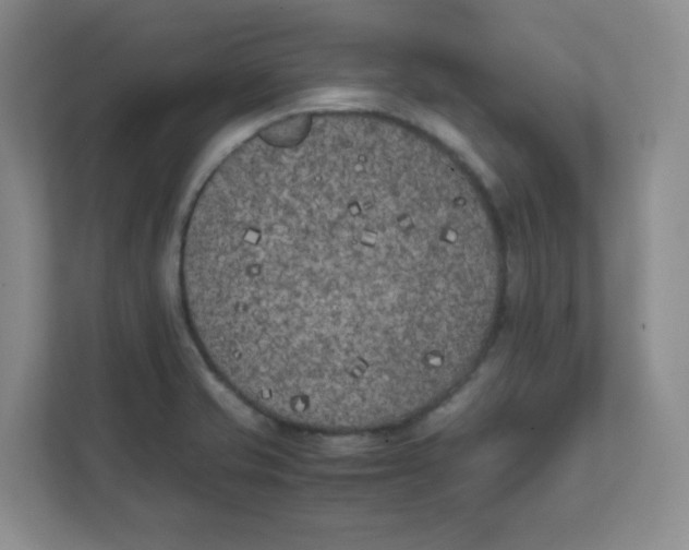 X0000111501421200908041153