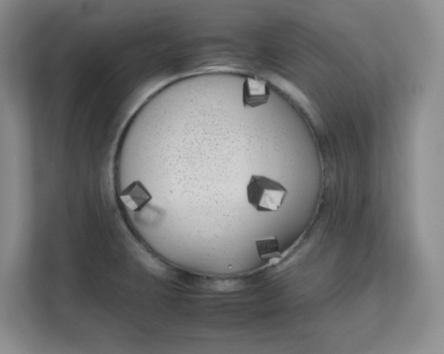 X0000111501423200908041153