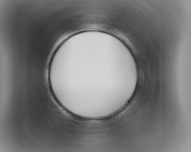 X0000111501424200908041153