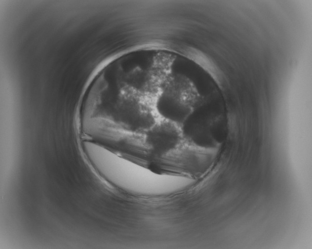 X0000111501428200908041153