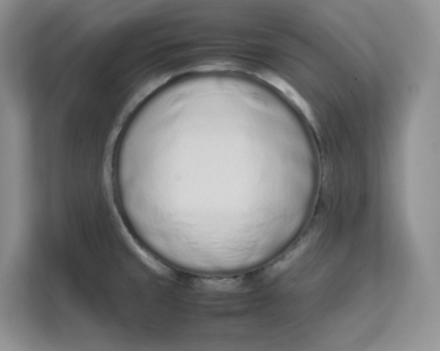 X0000111501429200908041153