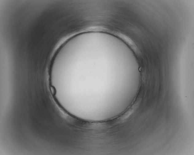 X0000111501430200908041153