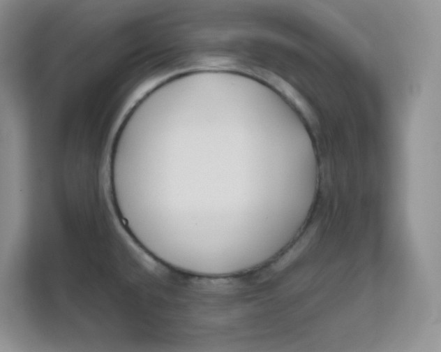 X0000111501432200908041153