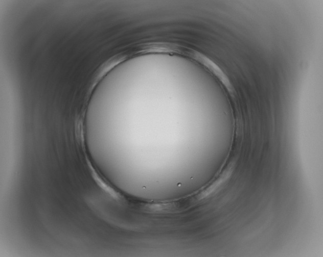 X0000111501433200908041153