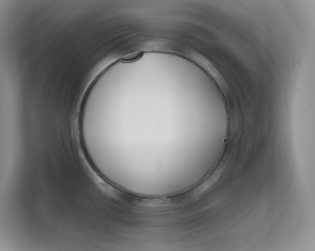 X0000111501434200908041153