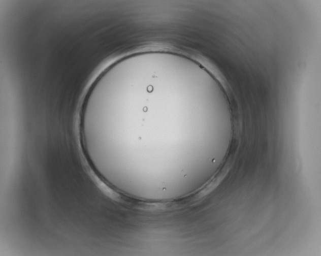 X0000111501438200908041153