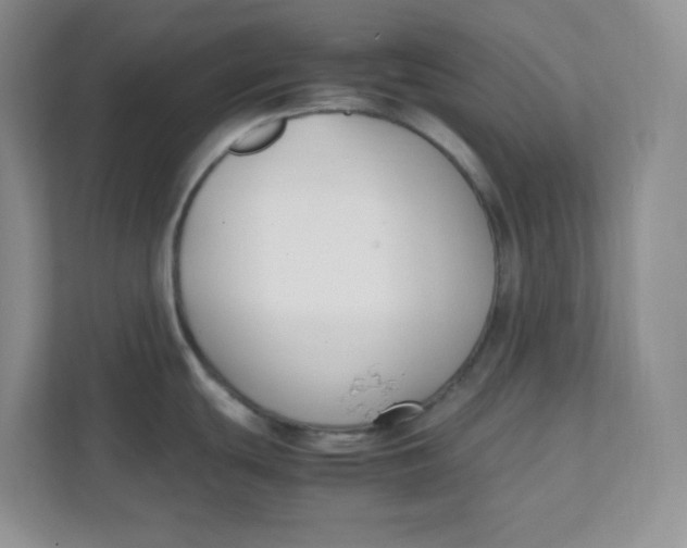 X0000111501439200908041153