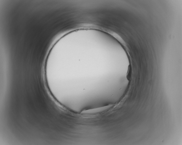 X0000111501440200908041153