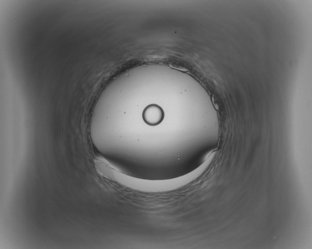 X0000111501441200908041153