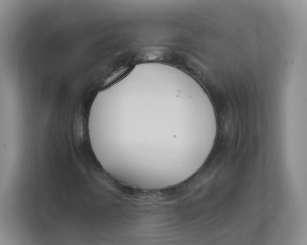 X0000111501442200908041153