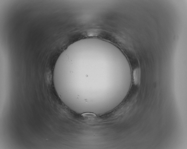 X0000111501443200908041153