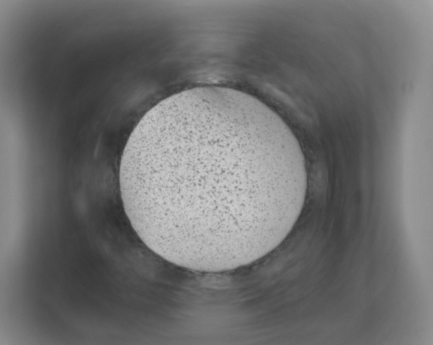 X0000111501446200908041153