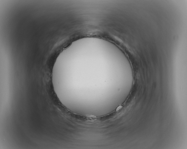 X0000111501447200908041153