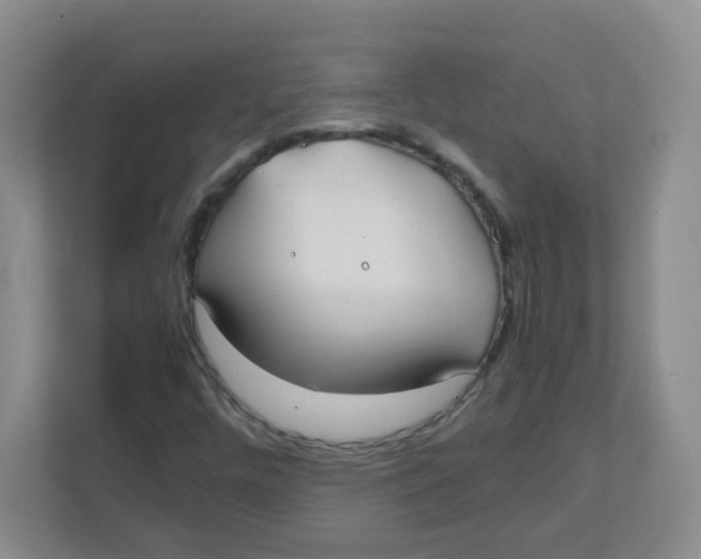 X0000111501448200908041153