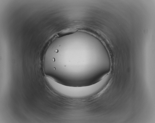 X0000111501449200908041153