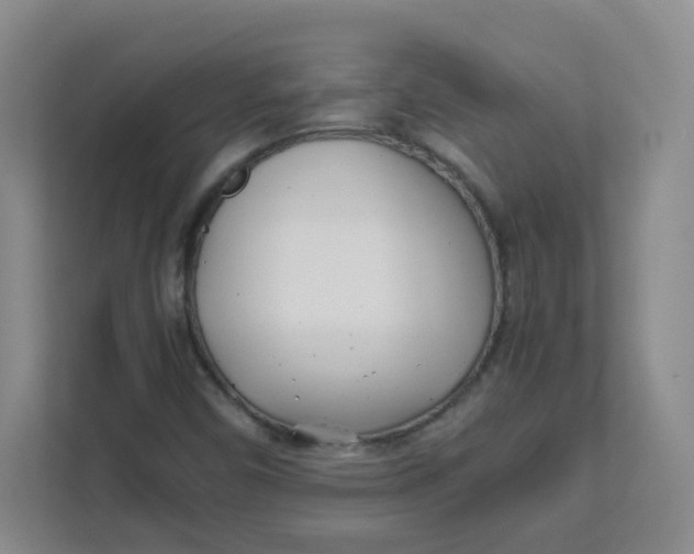 X0000111501450200908041153