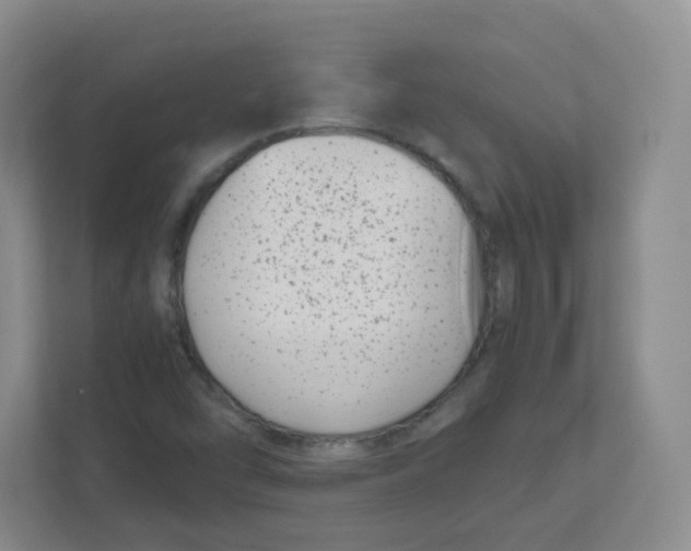 X0000111501454200908041152