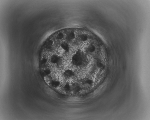 X0000111501455200908041152