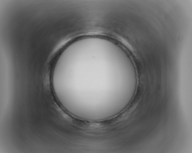 X0000111501456200908041152