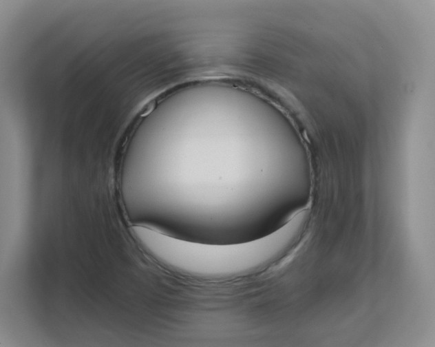 X0000111501457200908041152