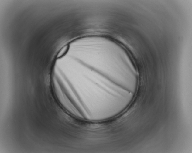 X0000111501459200908041152