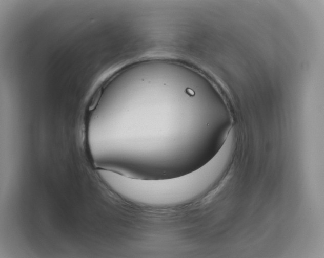 X0000111501461200908041152