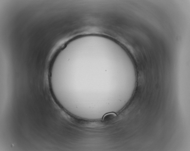 X0000111501464200908041152